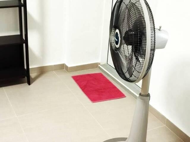 Room for rent