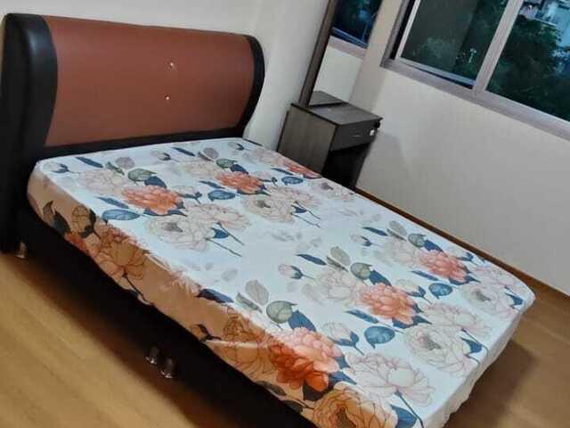 Room for rent