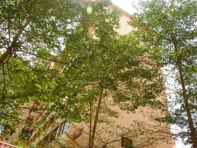 Detached House for sale