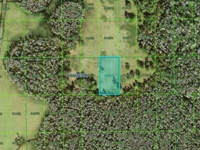 Land for sale in Polk City, Florida