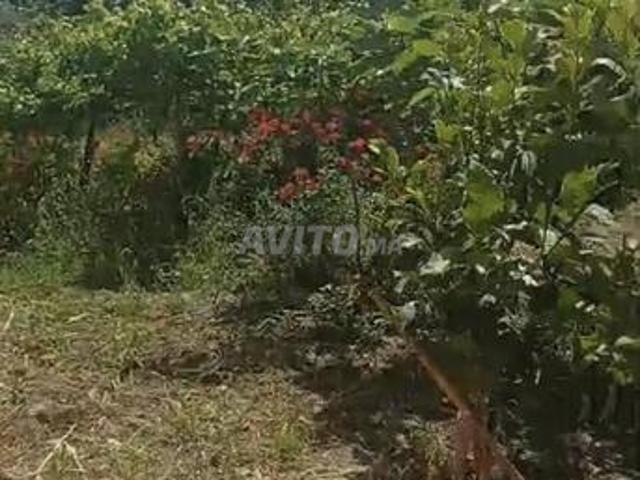 Propriété vente à Tétouan, Tanger-Tétouan