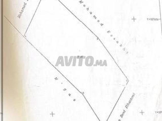 Propriété vente à Essaouira, L'Oriental