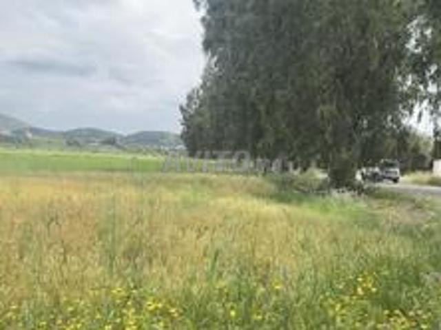 Propriété vente à Zoumi, Tanger-Tétouan