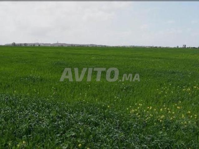 Propriété vente à Gharb-Chrarda-Beni Hssen