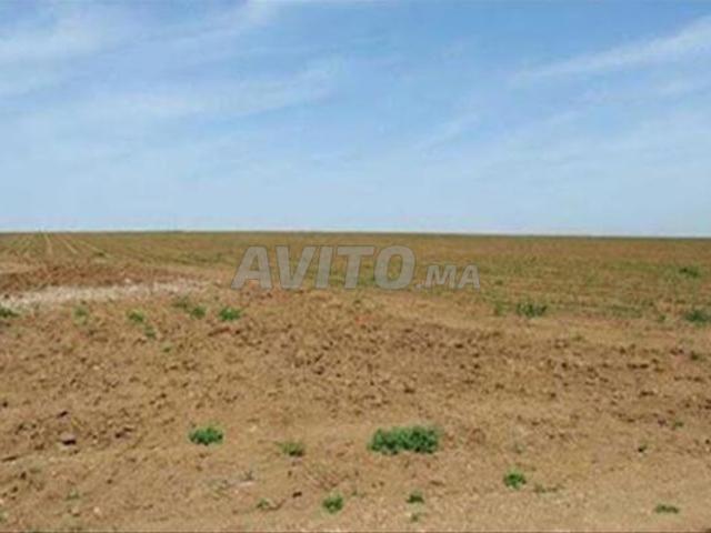 Propriété vente à El Ma, Gharb-Chrarda-Beni Hssen