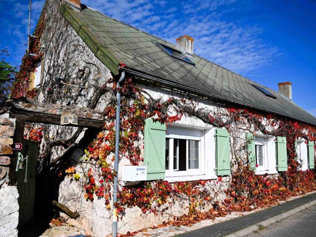 Maison vente à Charolles, Curdin