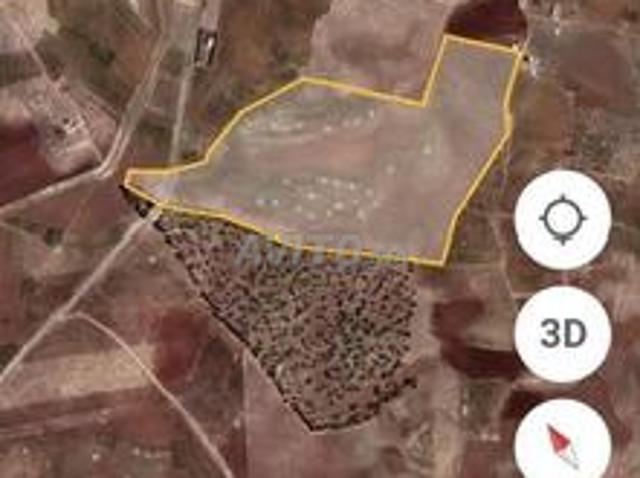 Propriété vente à Saf, L'Oriental
