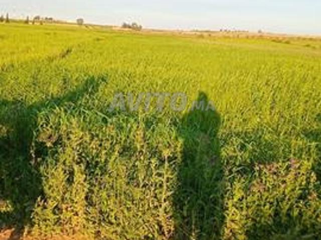 Propriété vente à Anfa, Gharb-Chrarda-Beni Hssen