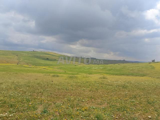 Propriété vente à Khouribga