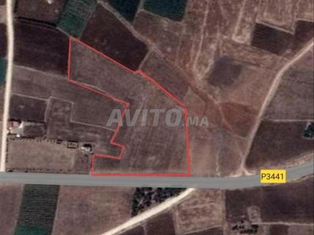 Propriété vente à pachalik d'El Jadida ⵍⵊⴰⴷⵉⴷⴰ الجديدة, Province d'El Jadida إقليم الجديدة