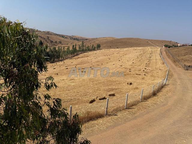 Propriété vente à Gharb-Chrarda-Beni Hssen