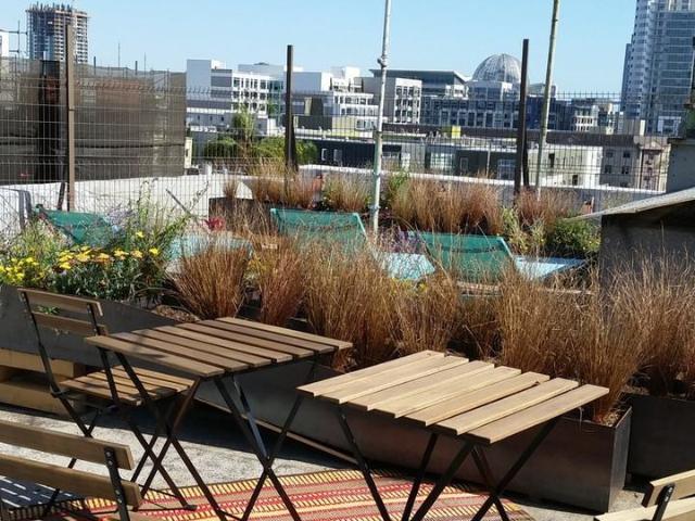 Apartment for rent in San Diego