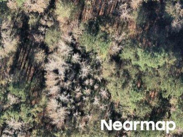 Land for sale in Nacogdoches, Texas