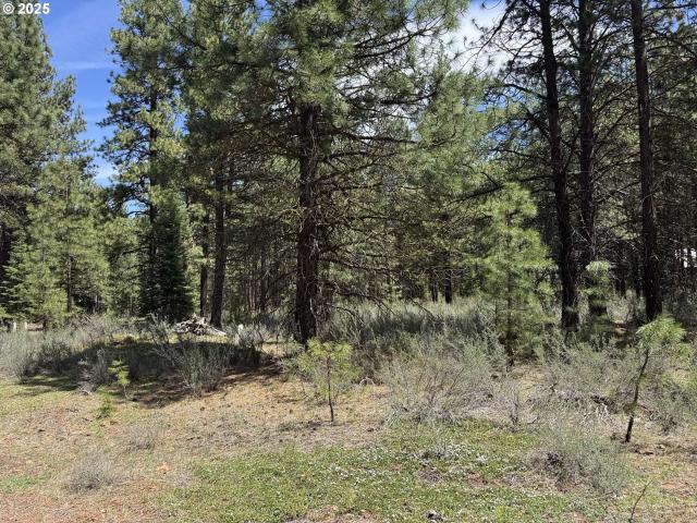 Land for sale in Oregonia
