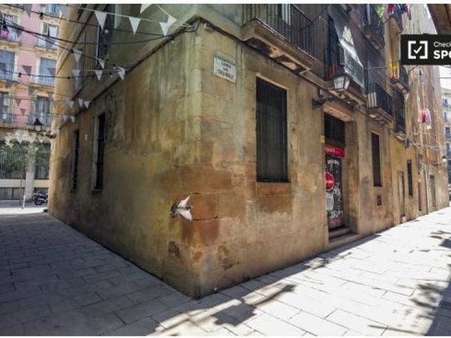 Piso en alquiler en Ciutat Vella, Barcelonès