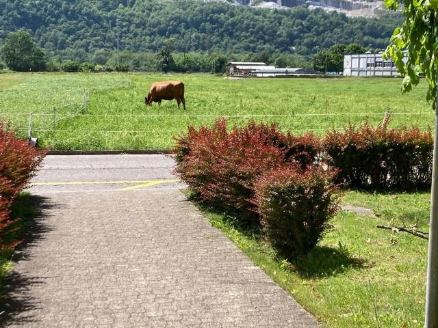 Apartment mieten in Biasca, Tessin