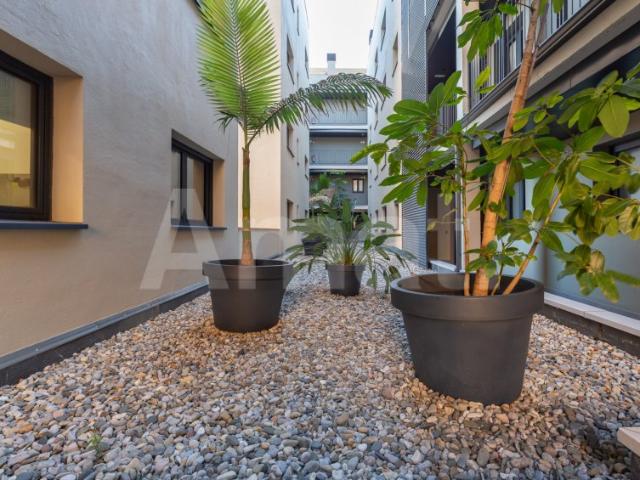 Apartamento en alquiler en Roses-Castellbell, Baix Llobregat