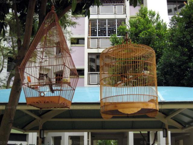 Detached House for rent