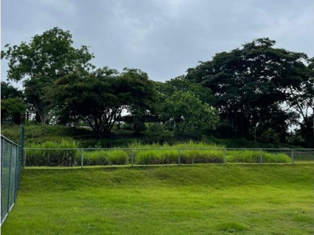 Terreno en venta en El Naipe, Carabobo
