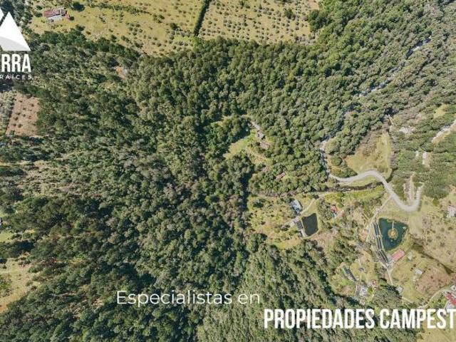 Rancho en venta en Teopancingo, Huauchinango