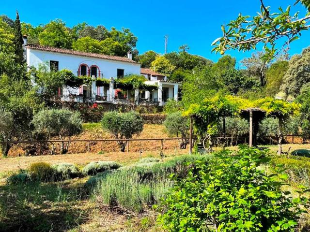 Local Comercial en venta en Sierra de Huelva, Andalucía
