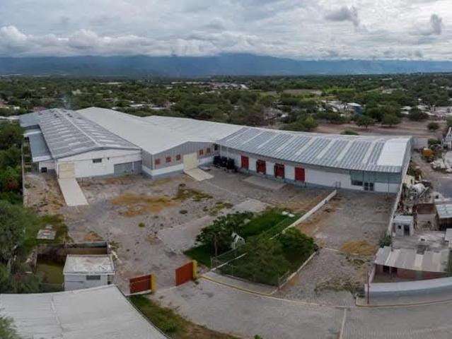 Terreno en renta en Altepexi, Puebla