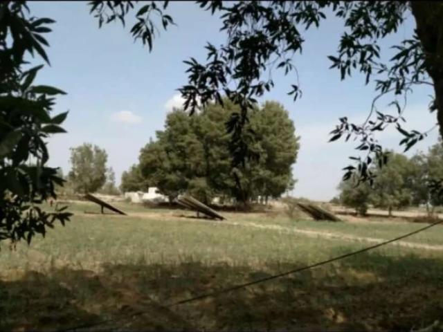 Land for sale