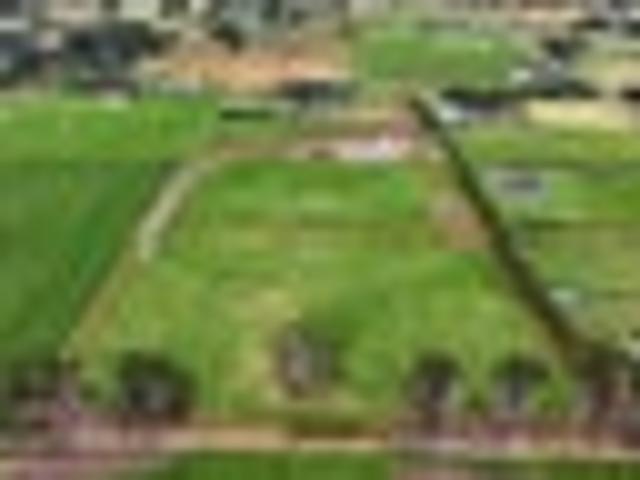 Land for sale in Invercargill, Southland