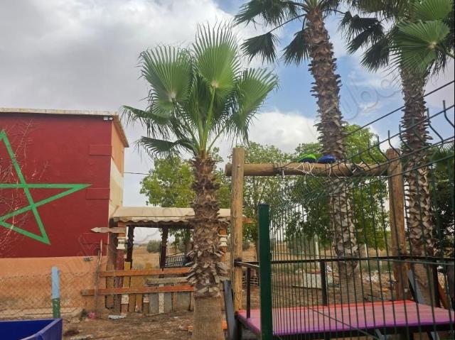 Riad vente à Beni Drar