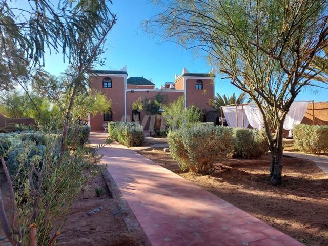 Propriété vente à Zagora