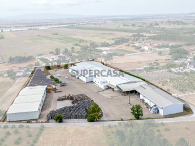 Armazém venda em Chamusca e Pinheiro Grande, Chamusca