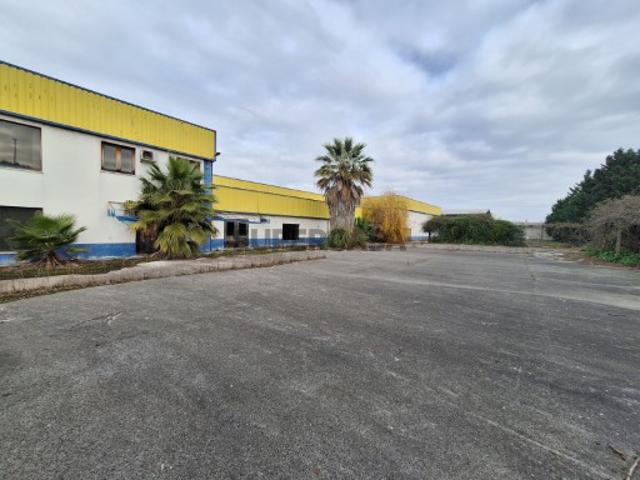 Armazém venda em Chamusca, Santarém