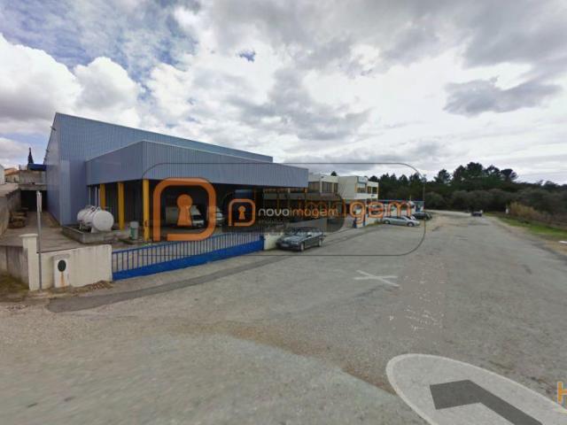 Armazém venda em Anadia, Aveiro