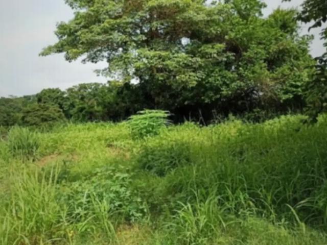 Terreno en venta en Comitán De Domínguez, Chiapas