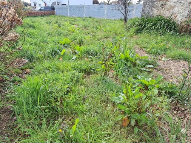 Terreno venda em Macieira de Sarnes, Oliveira de Azeméis