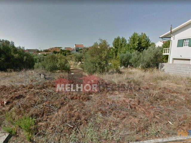 Terreno venda em Santarém