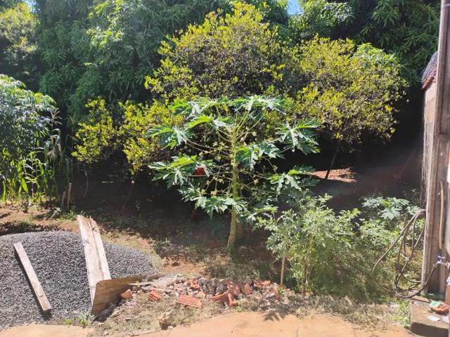 Casa venda em São Carlos