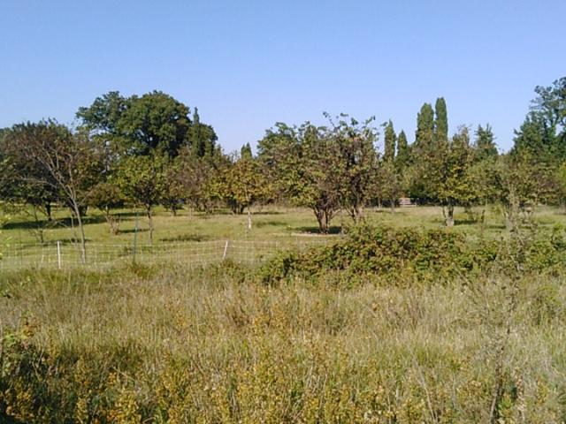 Terrain vente à France métropolitaine, Comps