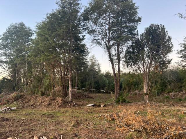 comuna de valdivia/quintrahueque Casa Venta