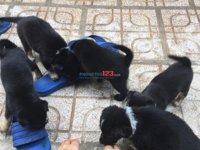 Bất động sản cho thuê tại Hồ Chí Minh