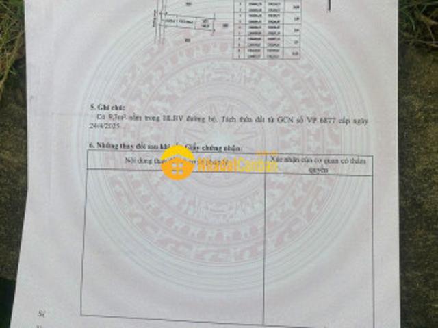 Mặt bằng bán