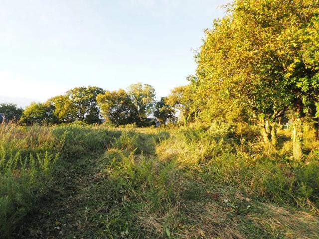 Terrain vente à Quimper, Bretagne