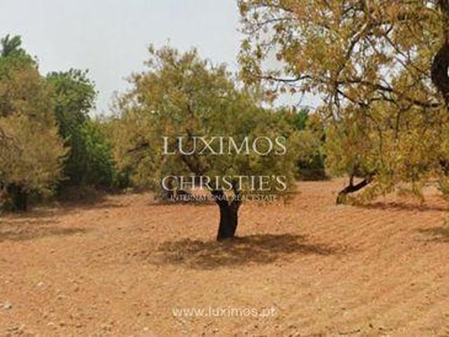 Terreno venda em Faro