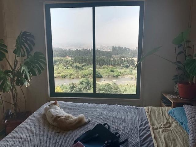 Concón, A tan solo 3 km de concón en la tranquilidad del campo