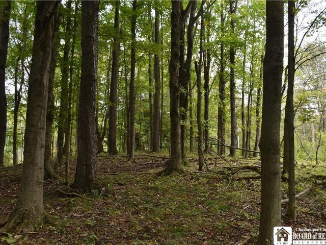 Land for sale in Village of Fredonia, Chautauqua County