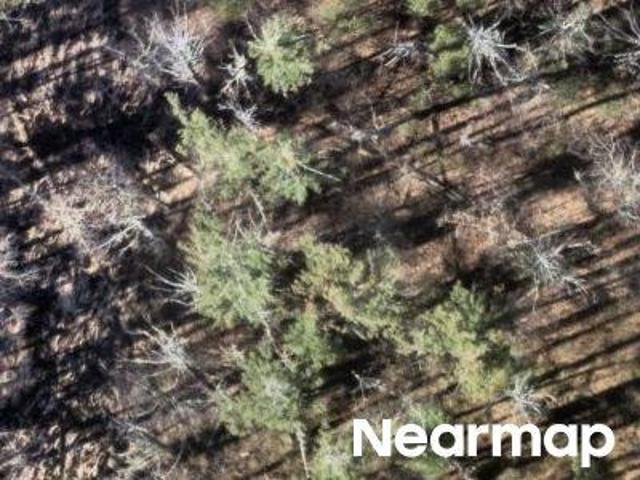 Property for sale in Sudbury, Massachusetts