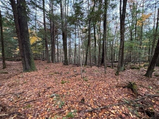 Land for sale in New Hampshire