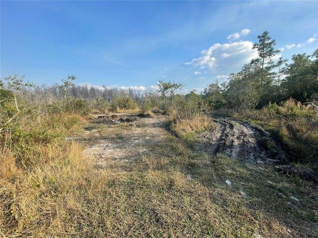 Land for sale in Saint Cloud, Florida