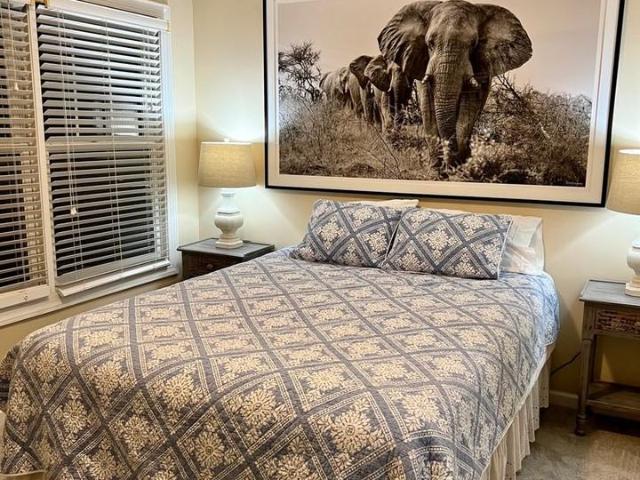 Apartment for rent in Avon