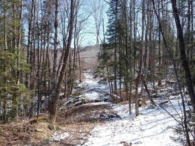Land for sale in Concord, Vermont